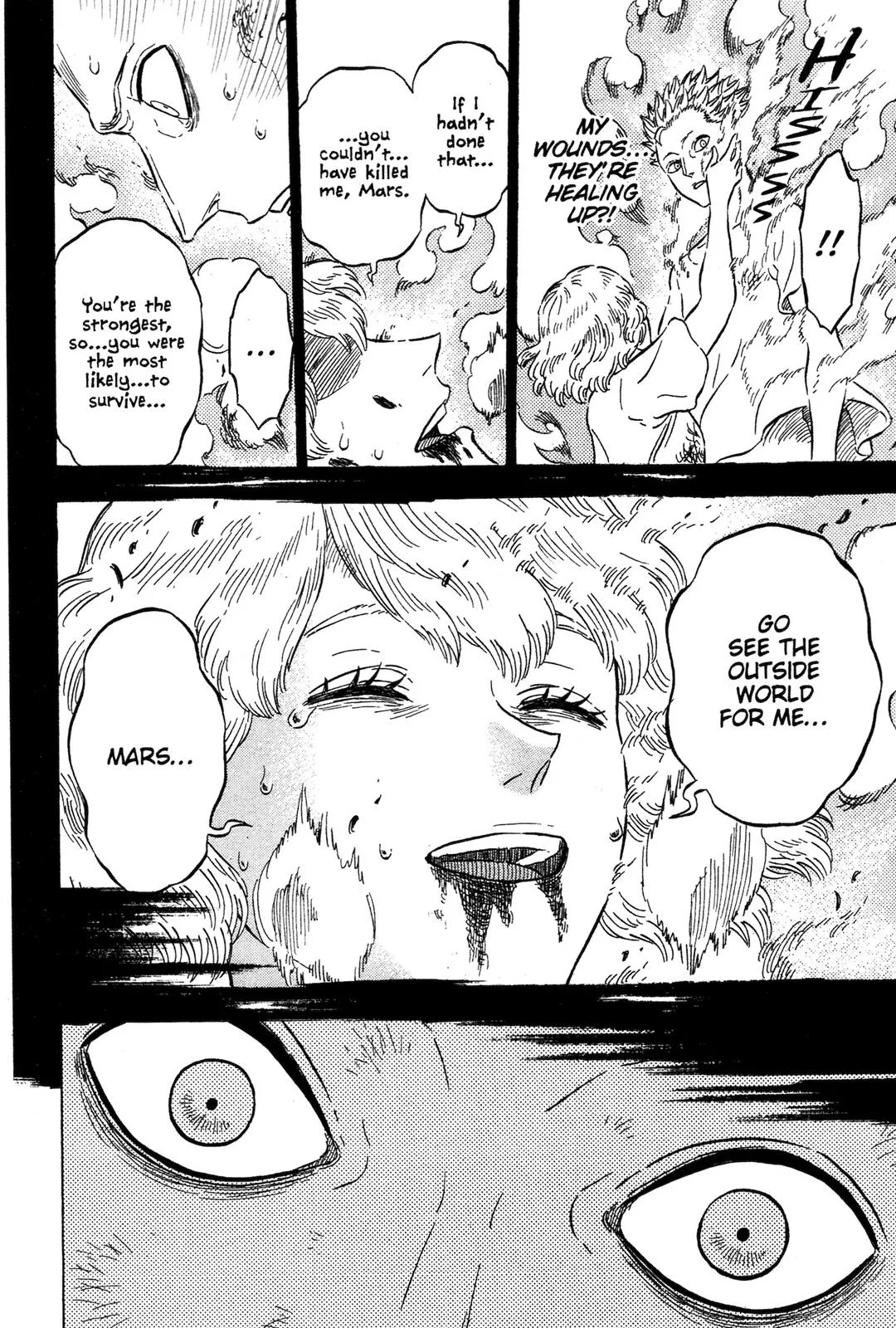 Black Clover Chapter 21 – Page 14