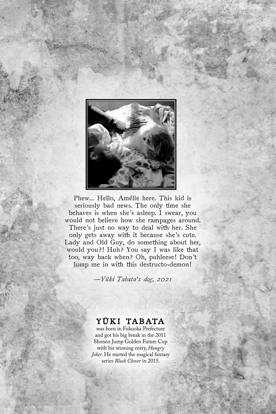 Black Clover Chapter 283 – Page 2