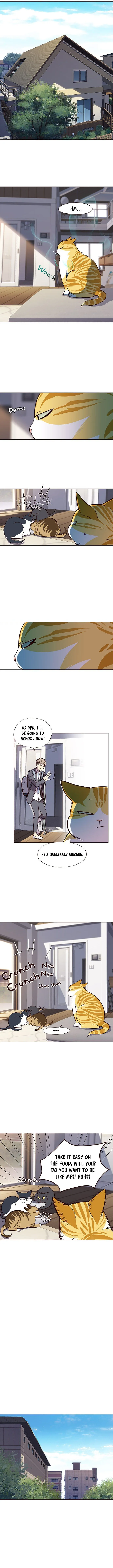 Eleceed Chapter 17 – Page 6