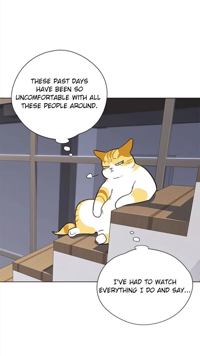 Eleceed Chapter 35 – Page 42