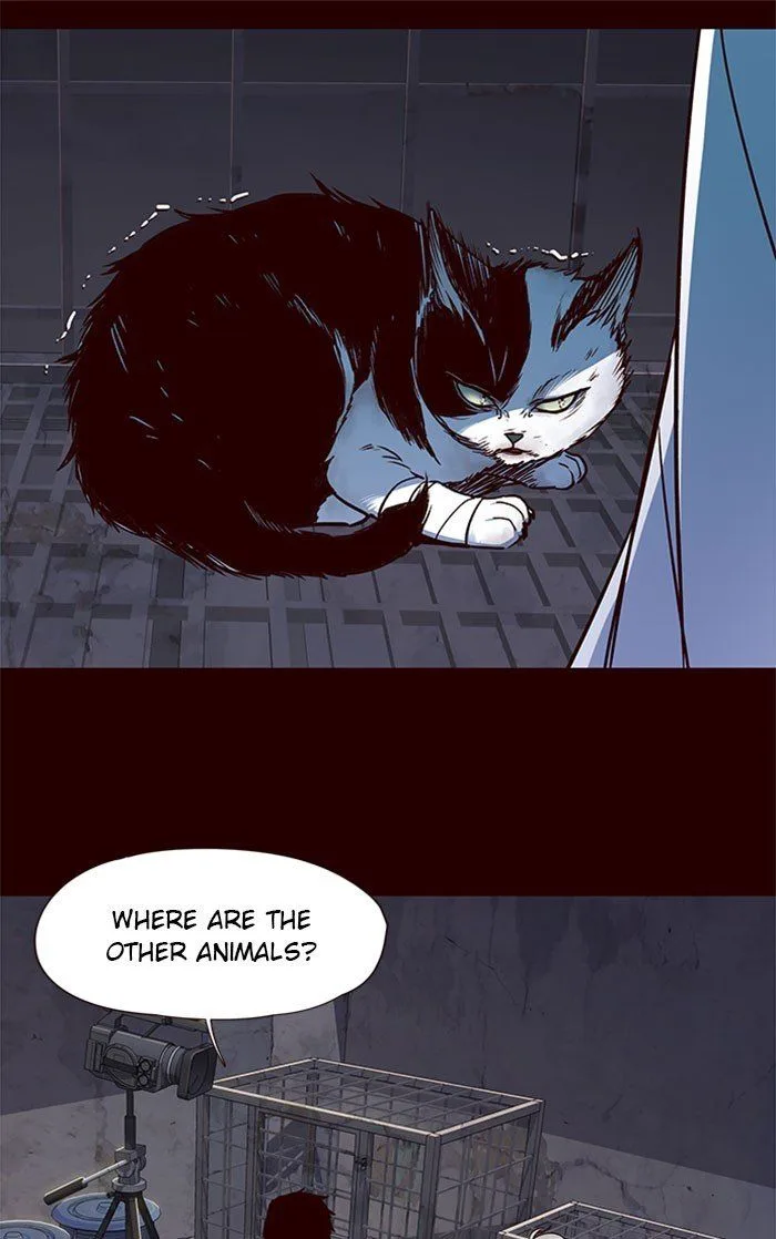 Eleceed Chapter 36 – Page 10