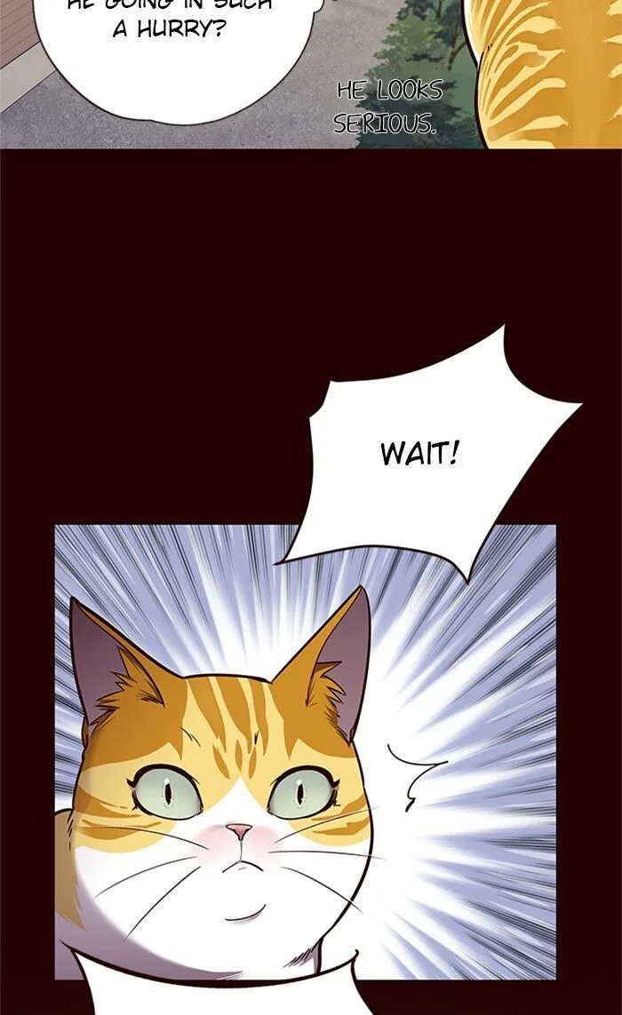 Eleceed Chapter 52 – Page 40