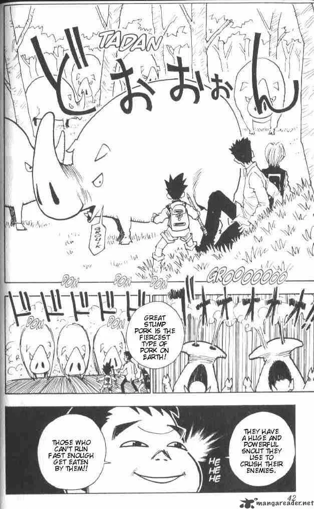 Hunter X Hunter Chapter 10: A Test Unaccounted For – Page 17