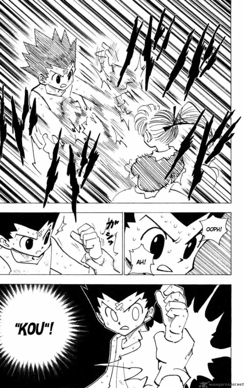 Hunter X Hunter Chapter 171: Attack Of Three 2 – Page 5