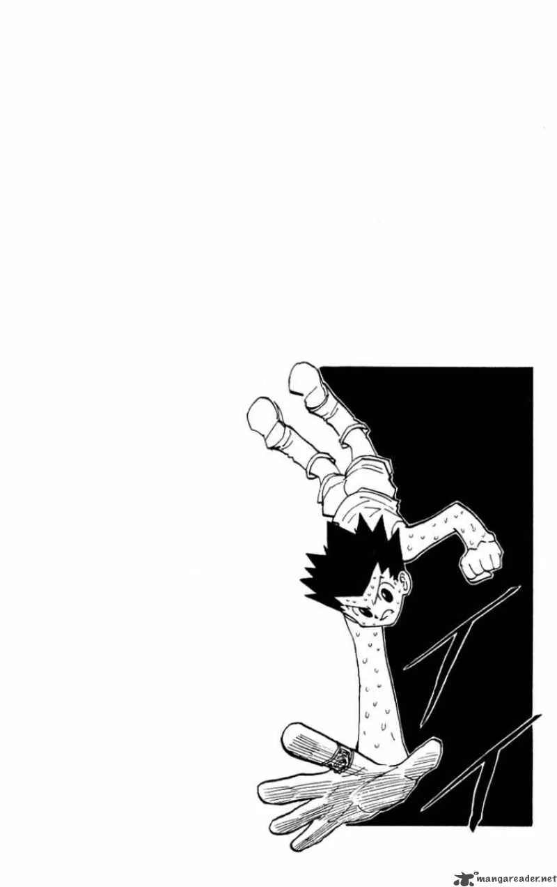 Hunter X Hunter Chapter 173: Attack Of Three 4 – Page 16