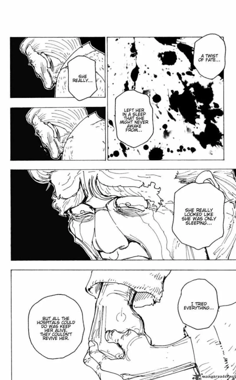 Hunter X Hunter Chapter 174: Attack Of Three 5 – Page 14