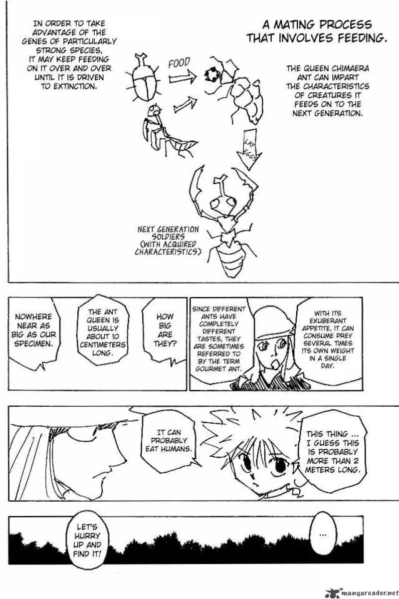 Hunter X Hunter Chapter 187: The Ultimate Prey – Page 12