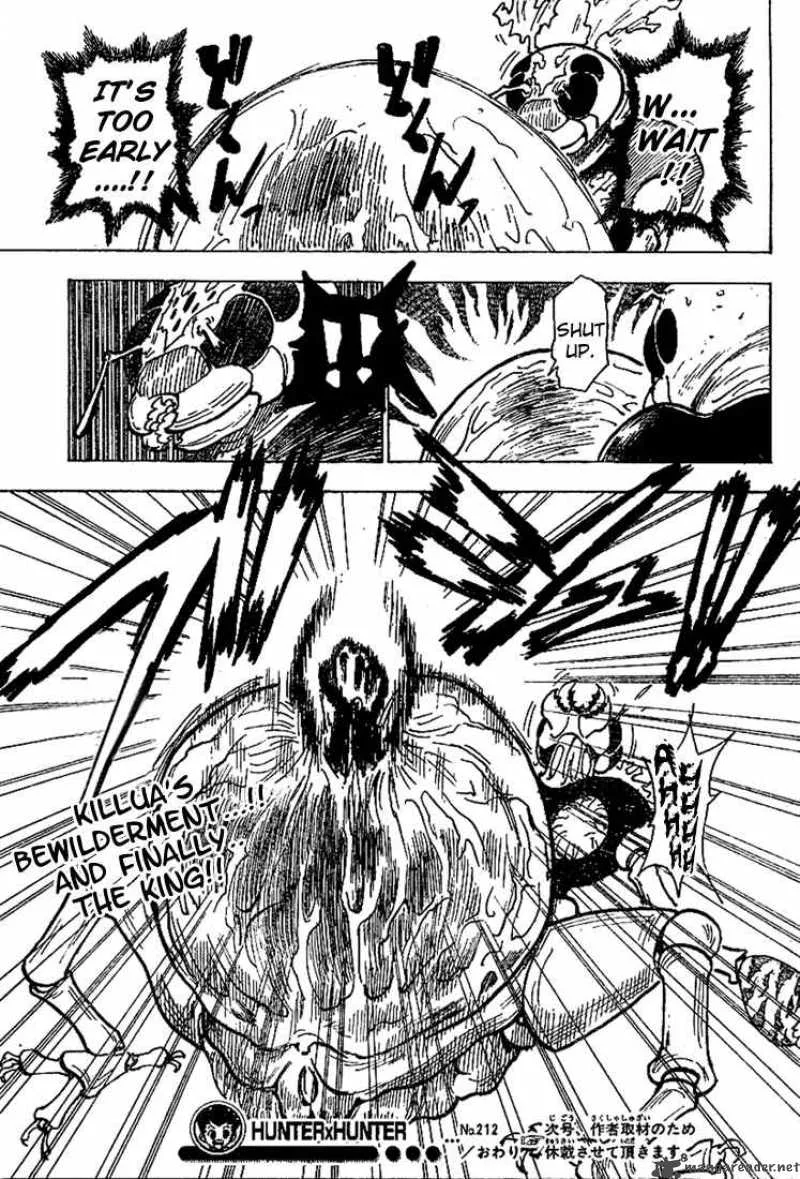 Hunter X Hunter Chapter 212: Rupture – Page 17
