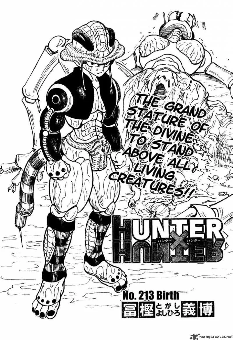 Hunter X Hunter Chapter 213: Birth – Page 3