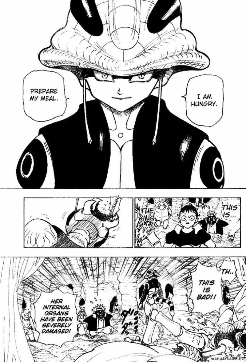Hunter X Hunter Chapter 213: Birth – Page 4