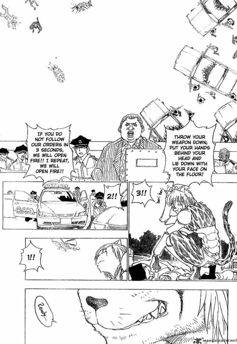 Hunter X Hunter Chapter 218: Confession – Page 4