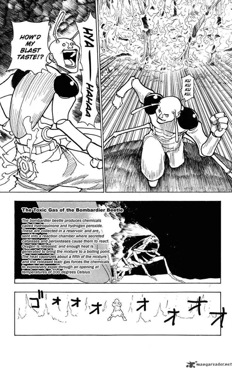 Hunter X Hunter Chapter 236: 8 - 2 – Page 11