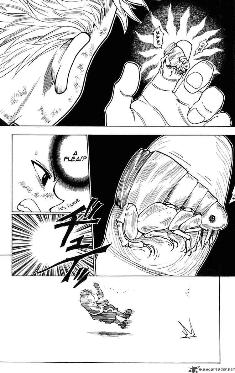 Hunter X Hunter Chapter 236: 8 - 2 – Page 14