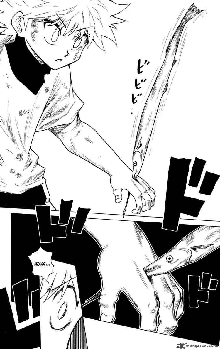 Hunter X Hunter Chapter 239: 8 - 5 – Page 2