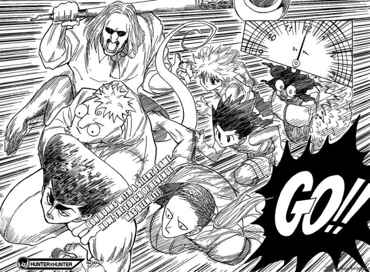 Hunter X Hunter Chapter 263: Break In 3 – Page 17