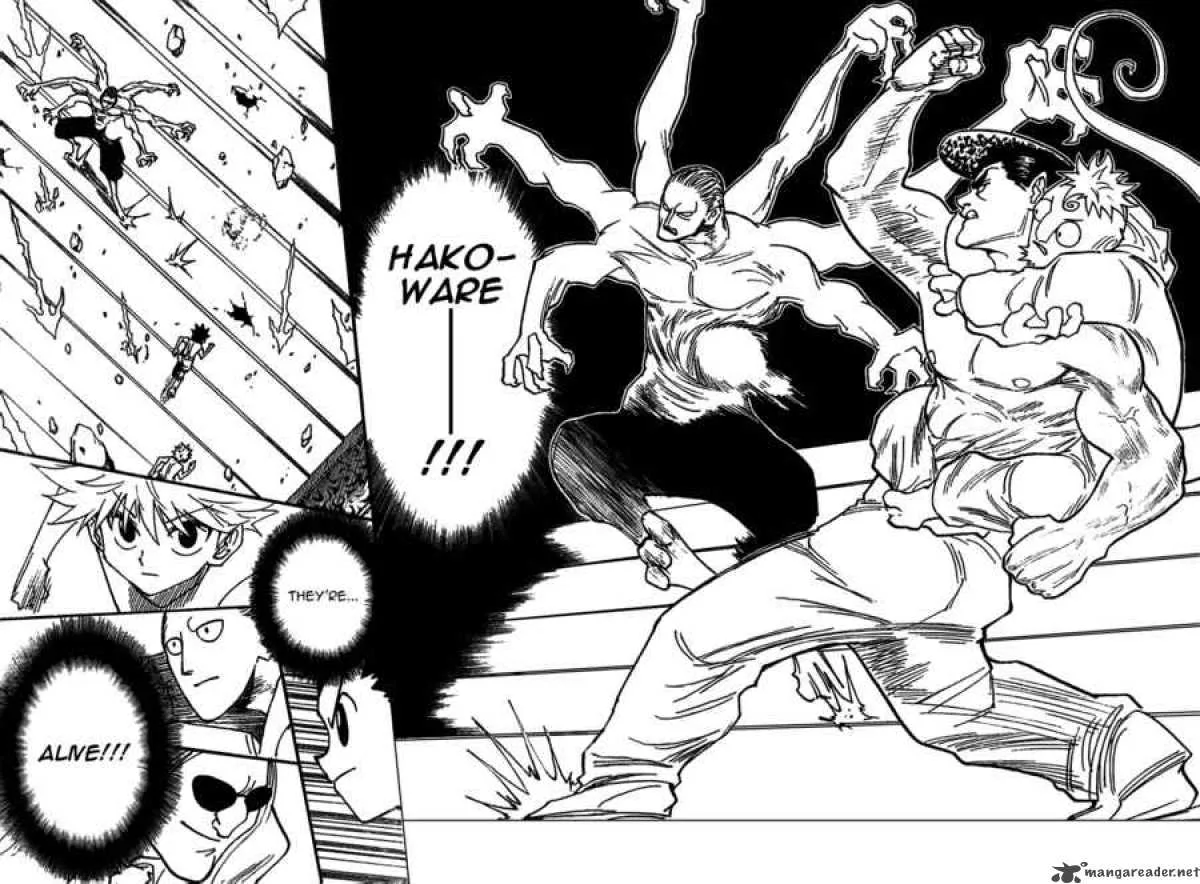 Hunter X Hunter Chapter 266: One in a Million – Page 15