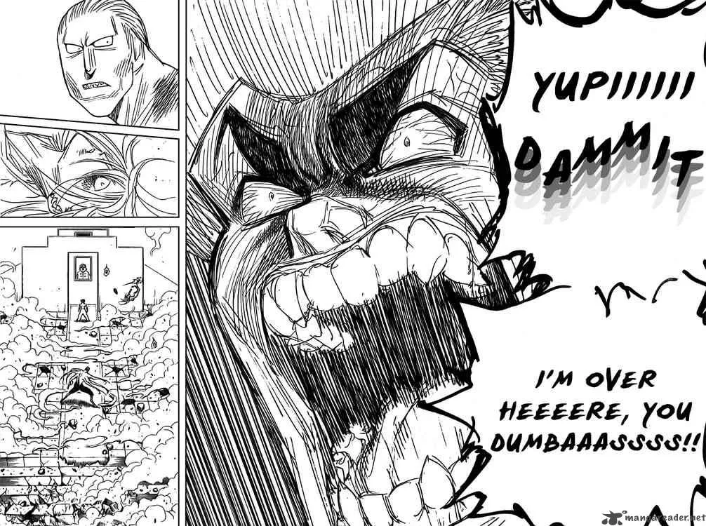 Hunter X Hunter Chapter 272: Miscalculation – Page 14