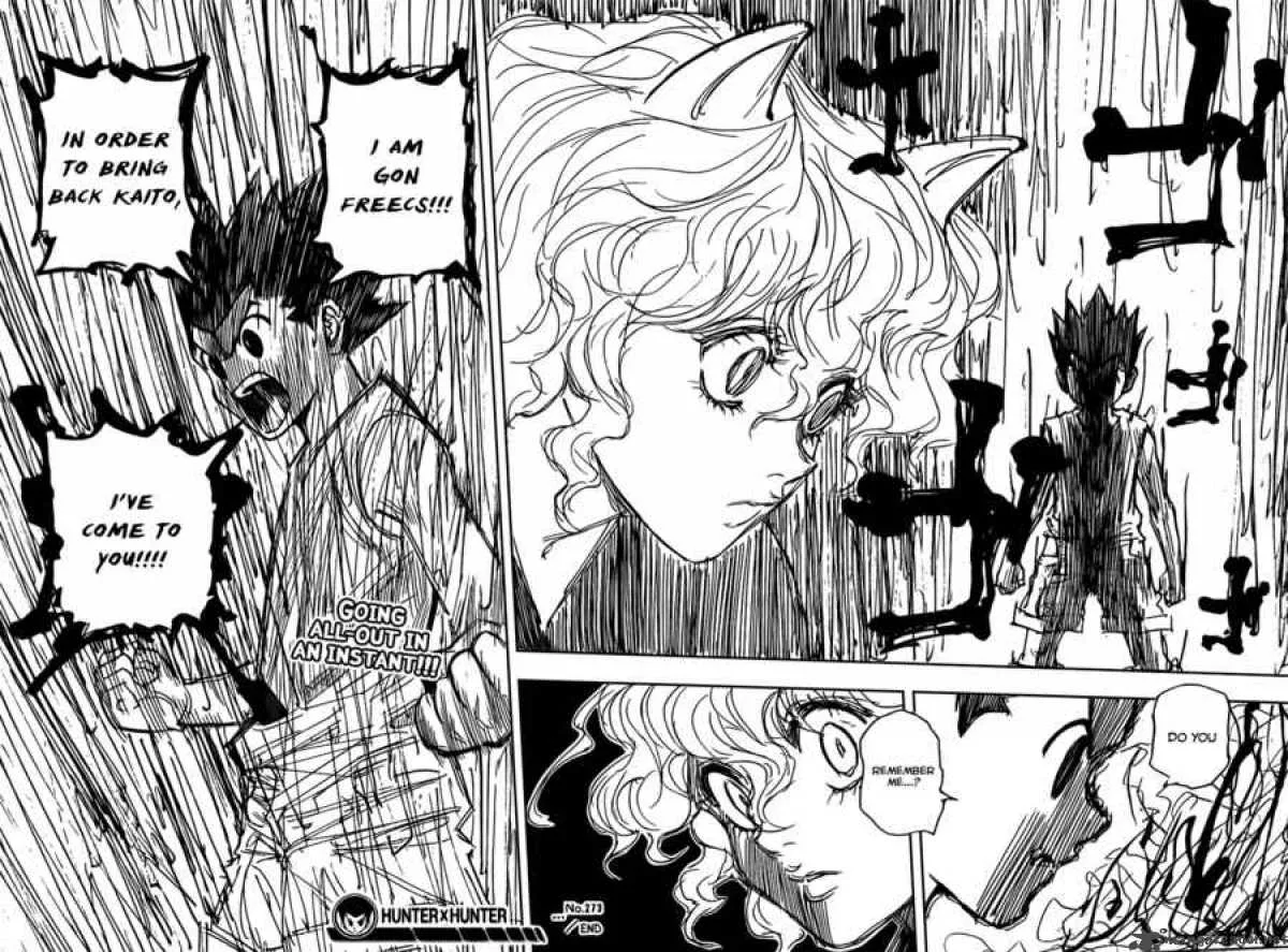 Hunter X Hunter Chapter 273: Reunion – Page 18