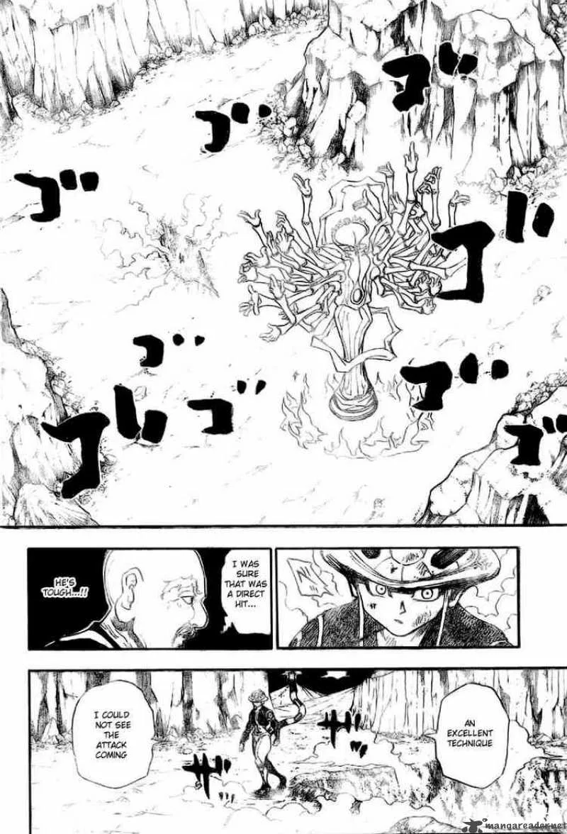 Hunter X Hunter Chapter 290: Name – Page 10