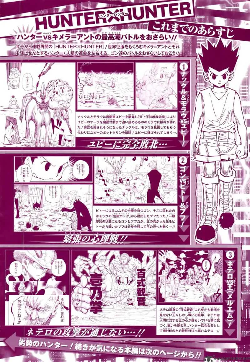 Hunter X Hunter Chapter 291: Asking Oneself – Page 3
