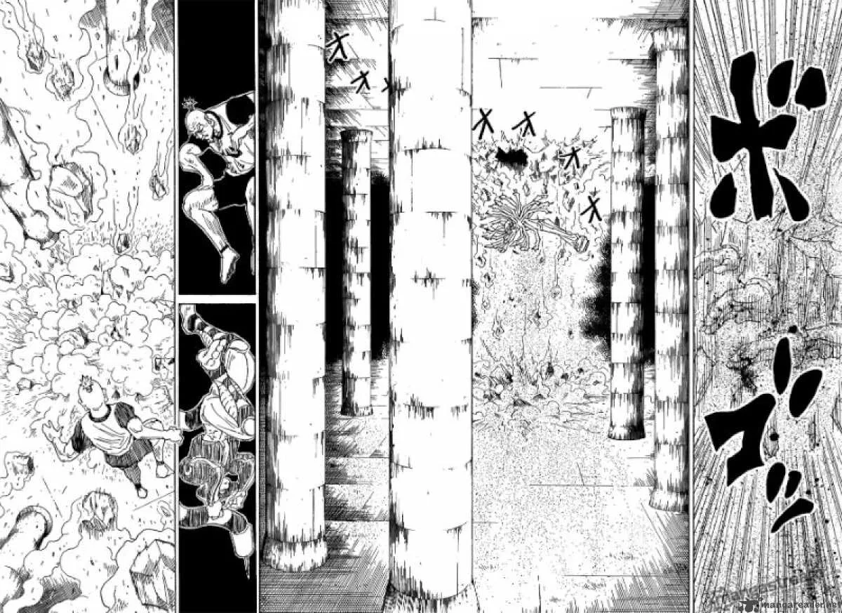 Hunter X Hunter Chapter 291: Asking Oneself – Page 14