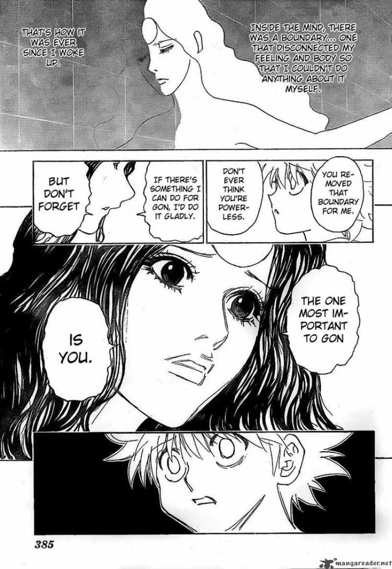 Hunter X Hunter Chapter 294: Break Down – Page 17