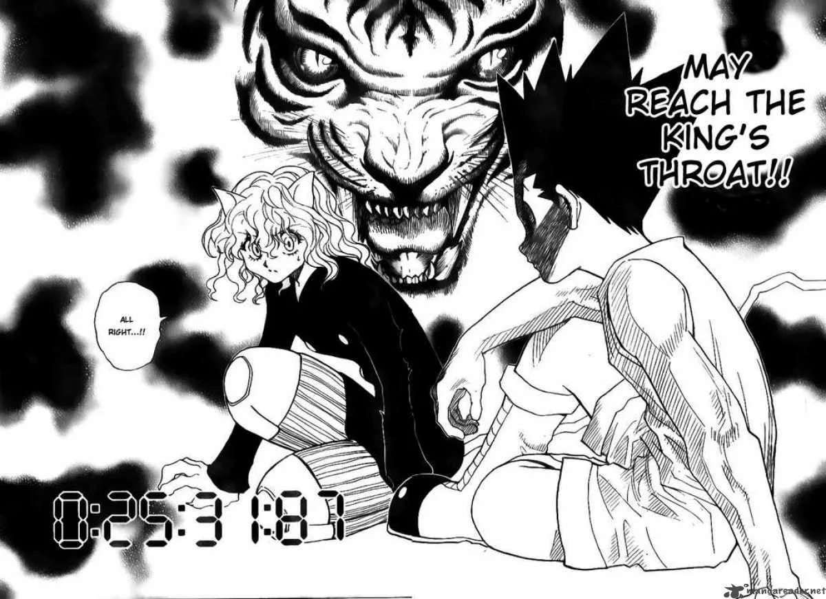 Hunter X Hunter Chapter 295: Determination – Page 13