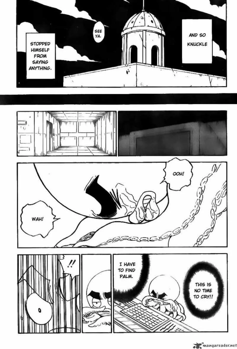 Hunter X Hunter Chapter 295: Determination – Page 17
