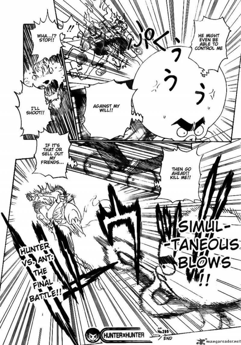 Hunter X Hunter Chapter 295: Determination – Page 19