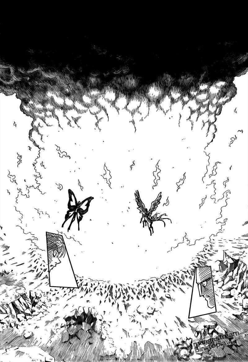 Hunter X Hunter Chapter 298: Rose – Page 14