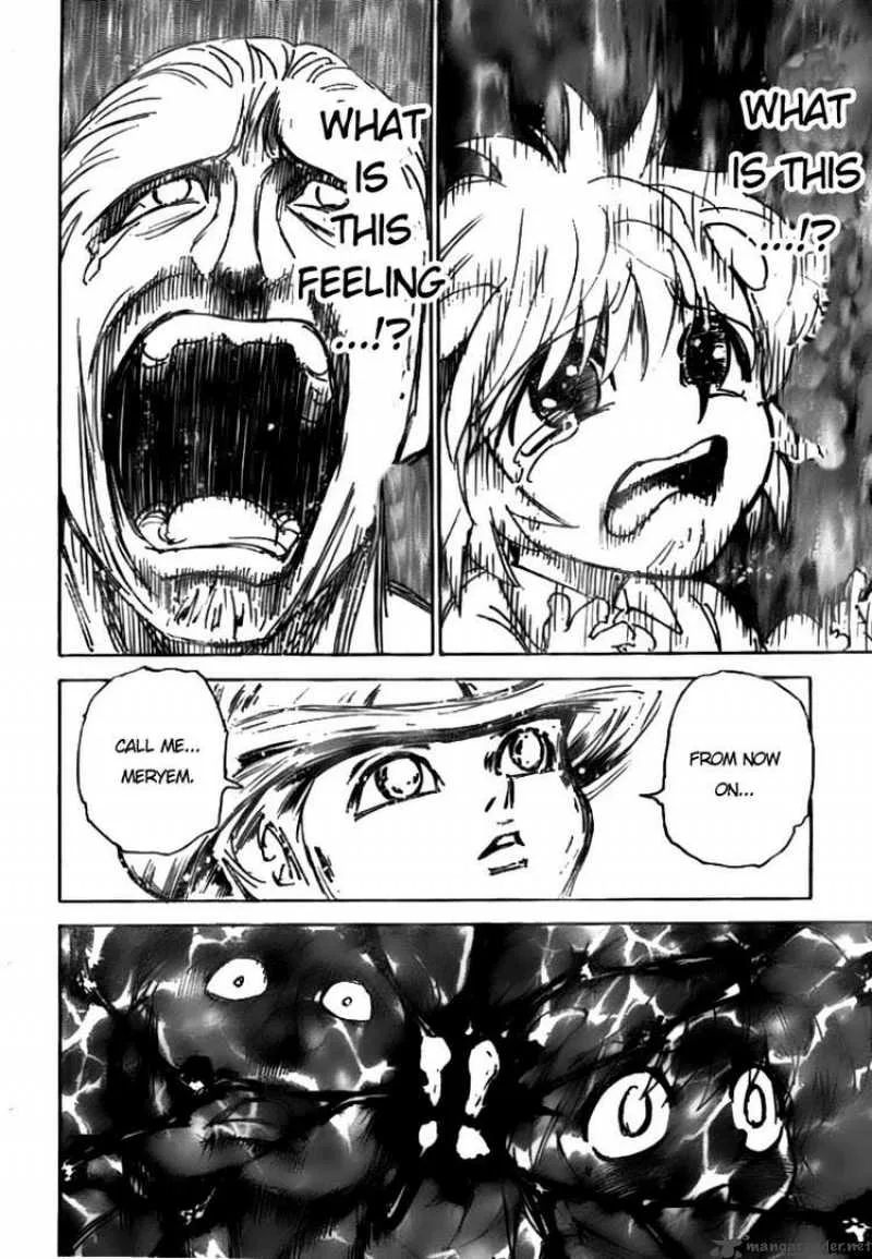 Hunter X Hunter Chapter 299: Rebirth – Page 14