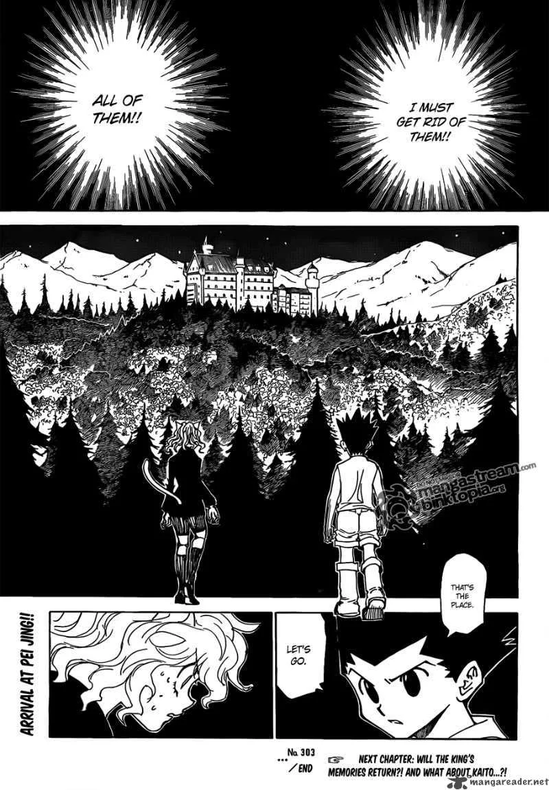 Hunter X Hunter Chapter 303: Pain – Page 18
