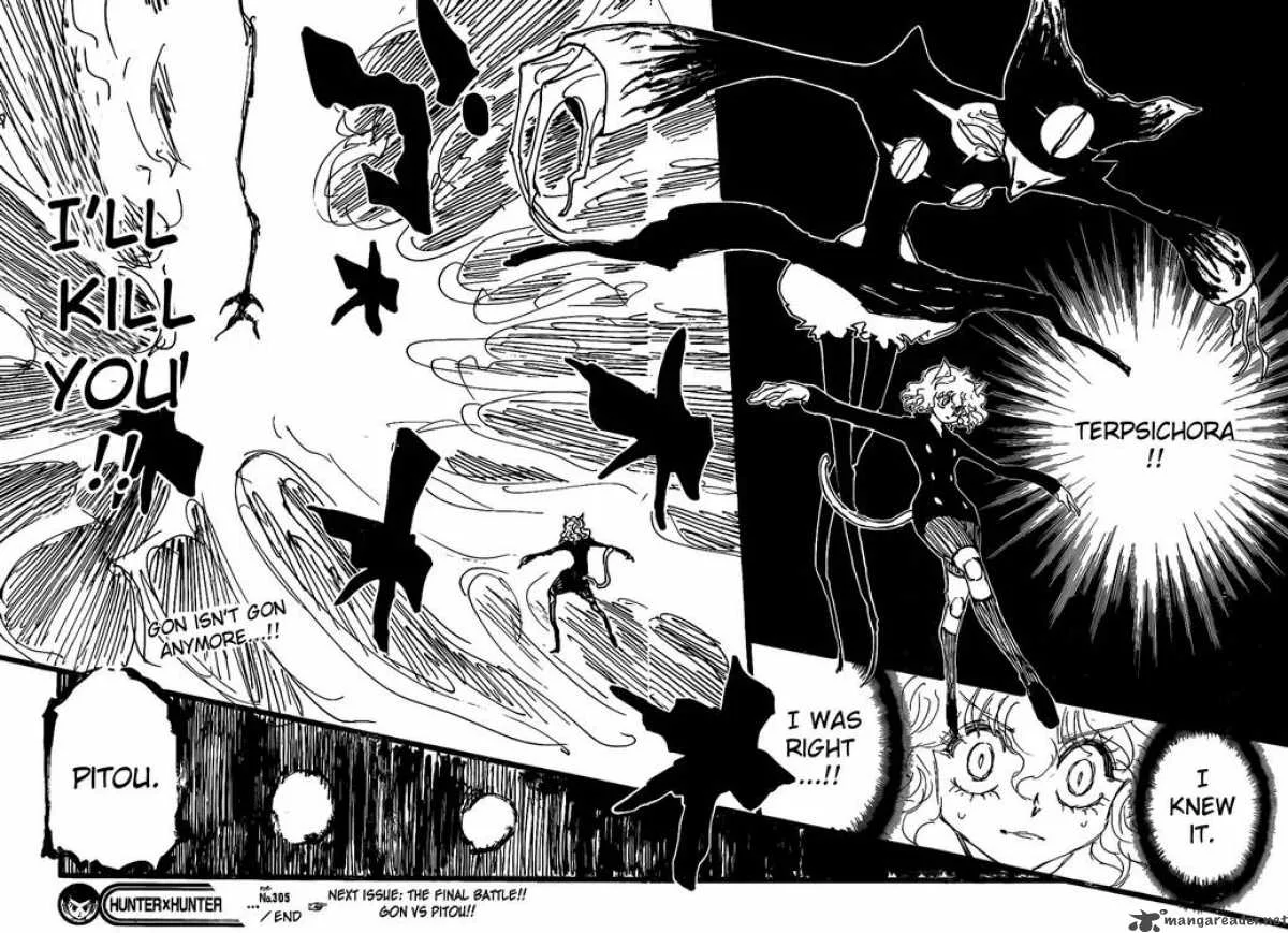 Hunter X Hunter Chapter 305: Bad Luck – Page 15