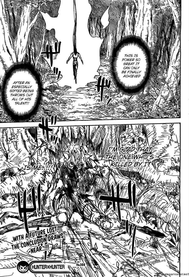 Hunter X Hunter Chapter 306: Relief – Page 15