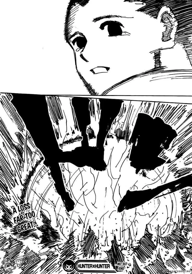 Hunter X Hunter Chapter 307: Loss – Page 17