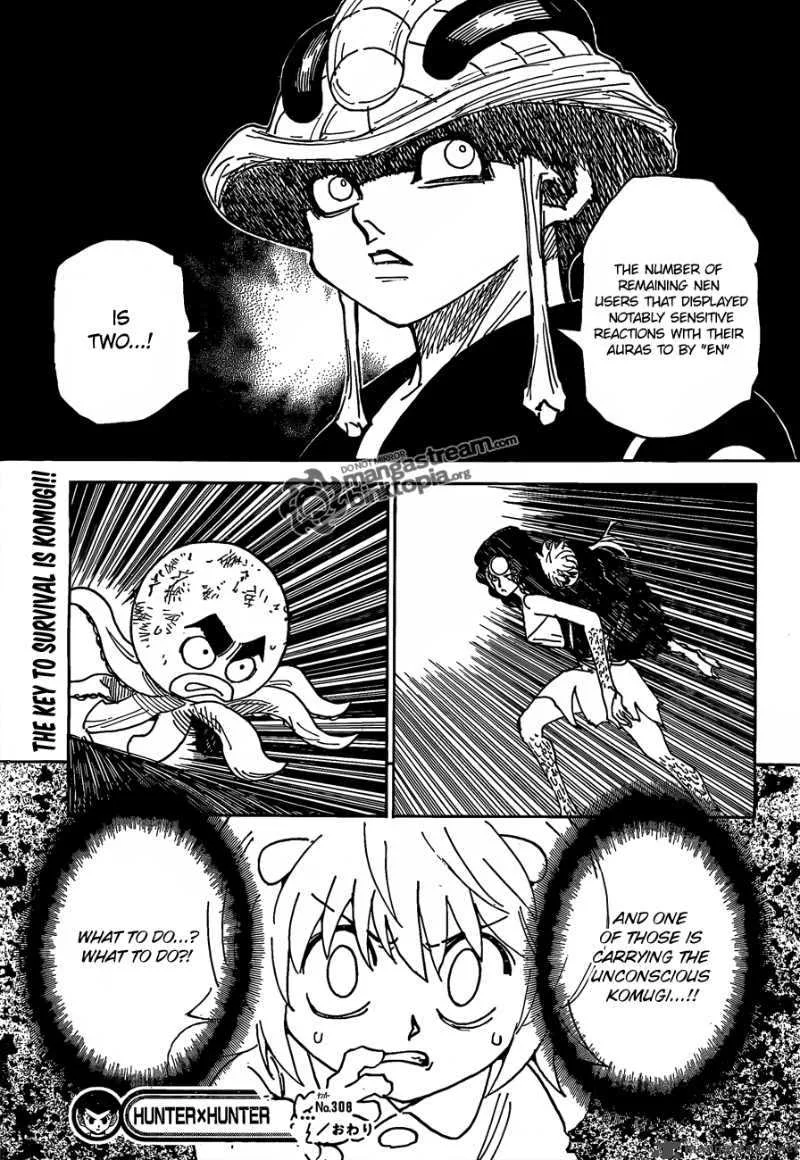 Hunter X Hunter Chapter 308: Flash – Page 17