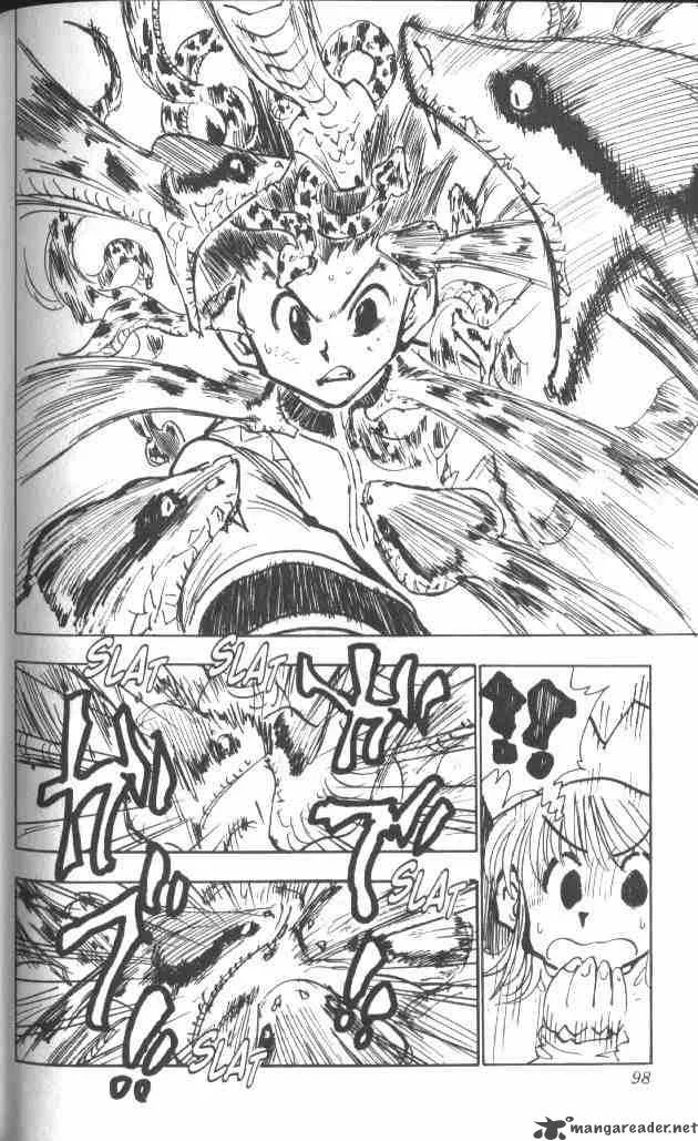 Hunter X Hunter Chapter 31: In Extremis – Page 13
