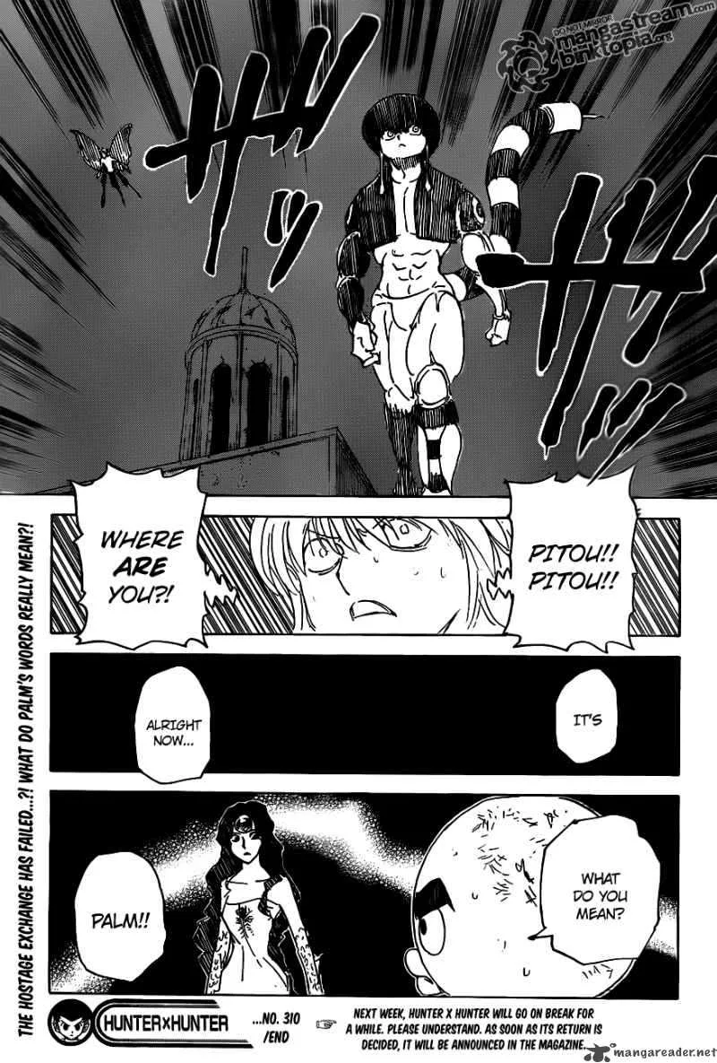 Hunter X Hunter Chapter 310: Start – Page 19