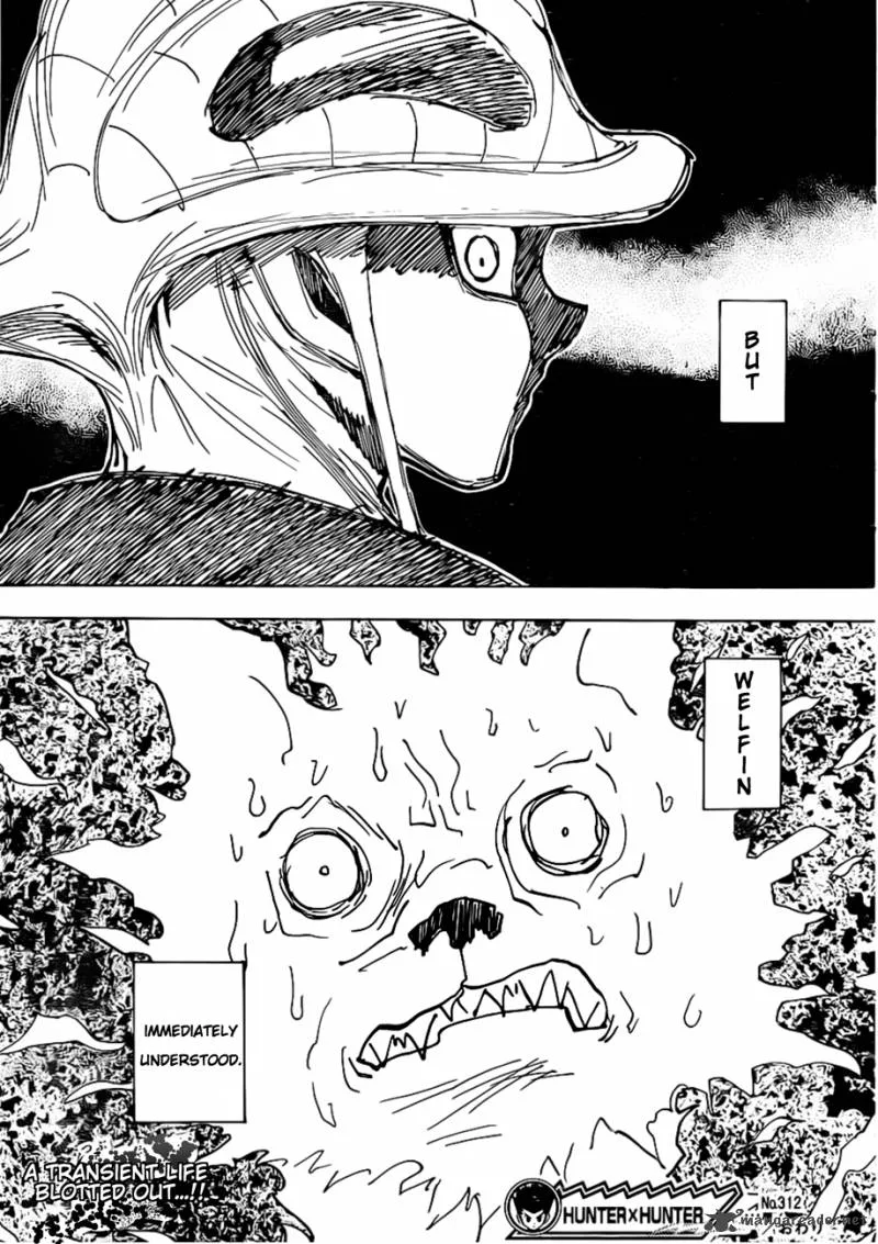 Hunter X Hunter Chapter 312: Resolve – Page 19