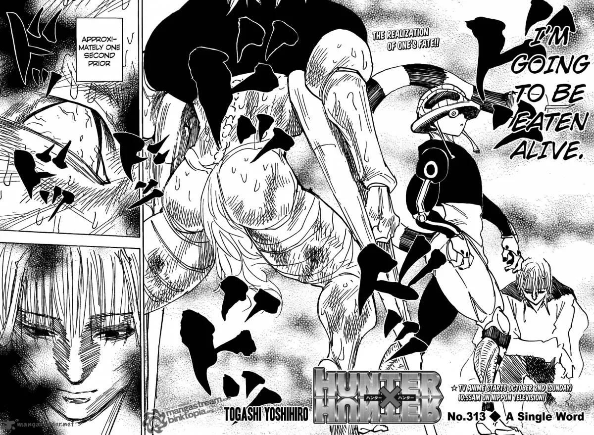 Hunter X Hunter Chapter 313: A Single Word – Page 2