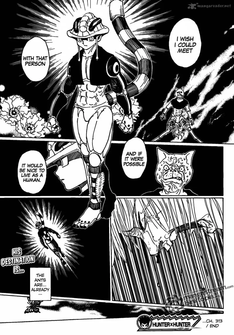 Hunter X Hunter Chapter 313: A Single Word – Page 14