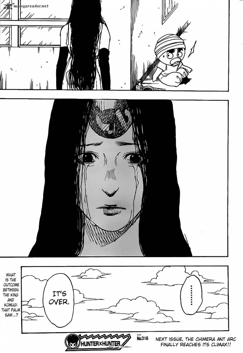 Hunter X Hunter Chapter 316: Real Name – Page 19