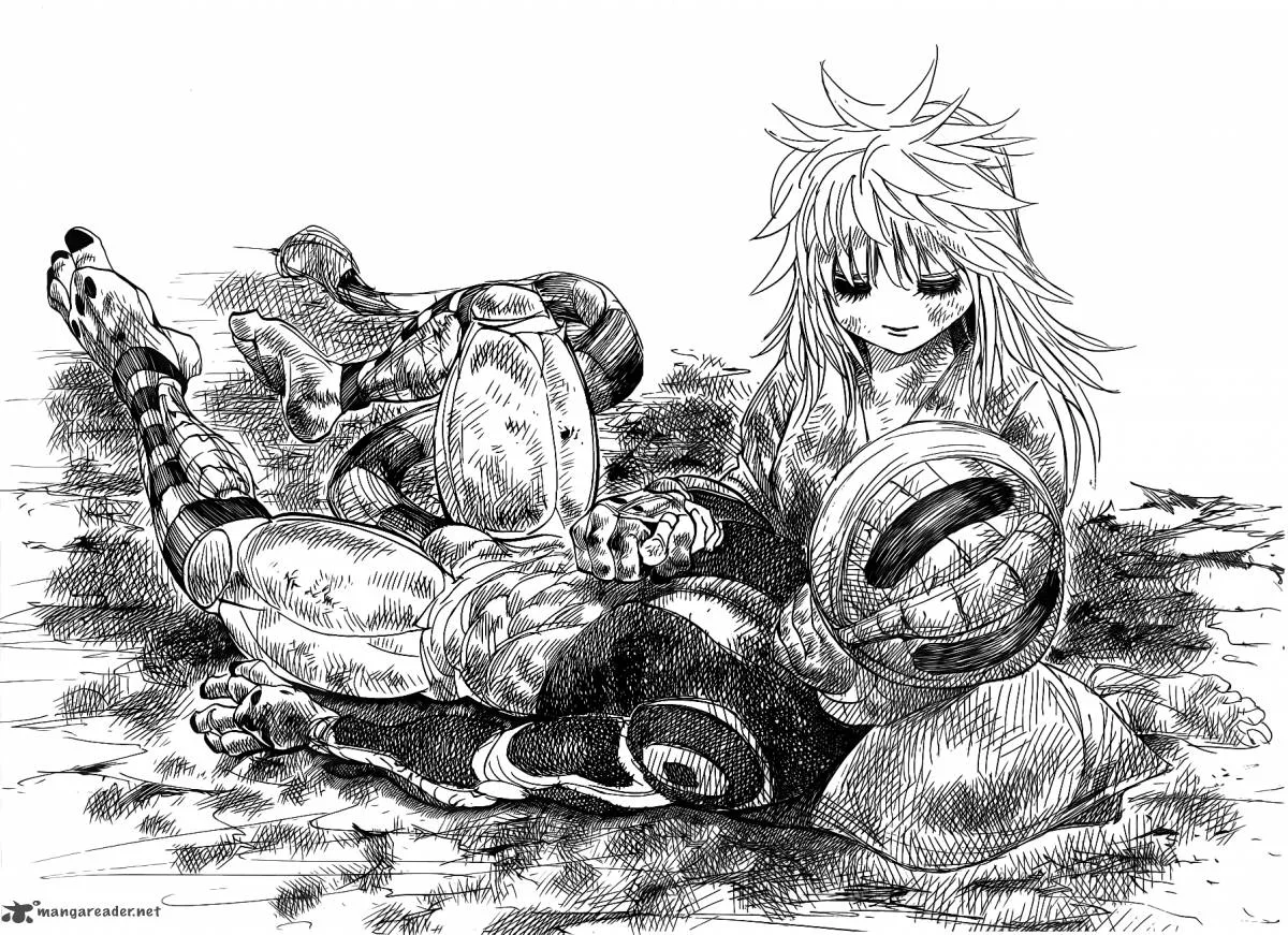 Hunter X Hunter Chapter 318: Last Will – Page 9