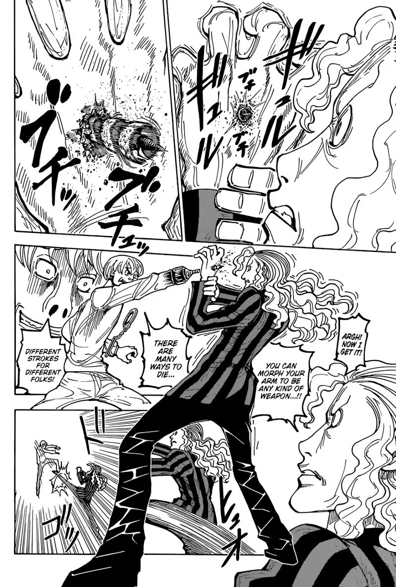 Hunter X Hunter Chapter 391: Clash ② – Page 17