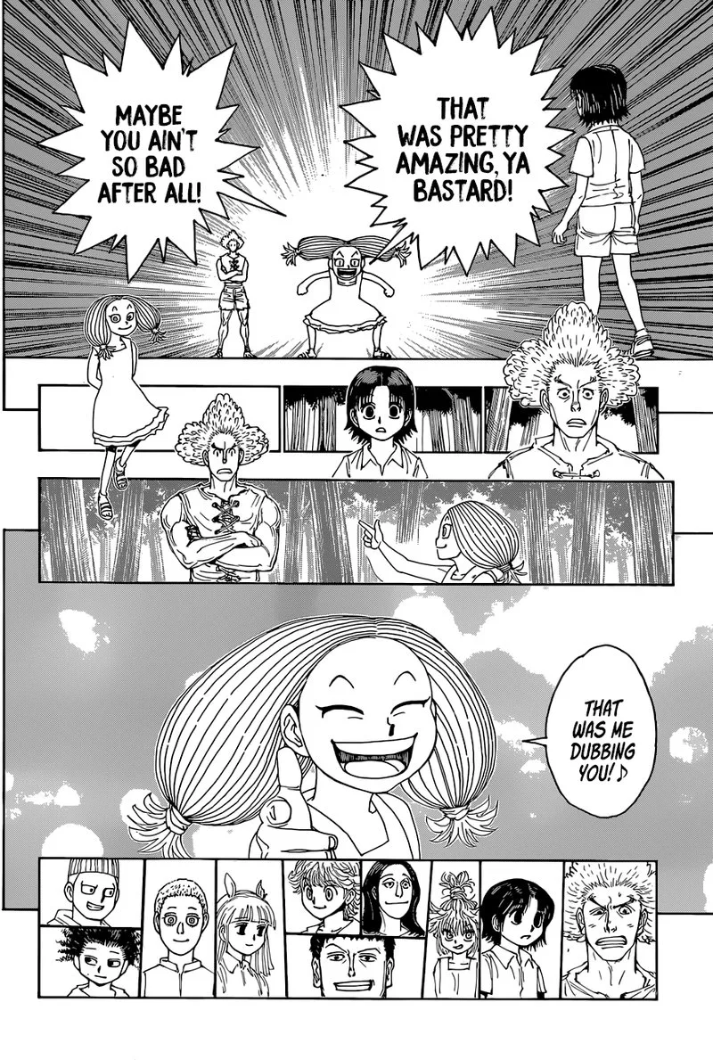 Hunter X Hunter Chapter 396: Formation ② – Page 14