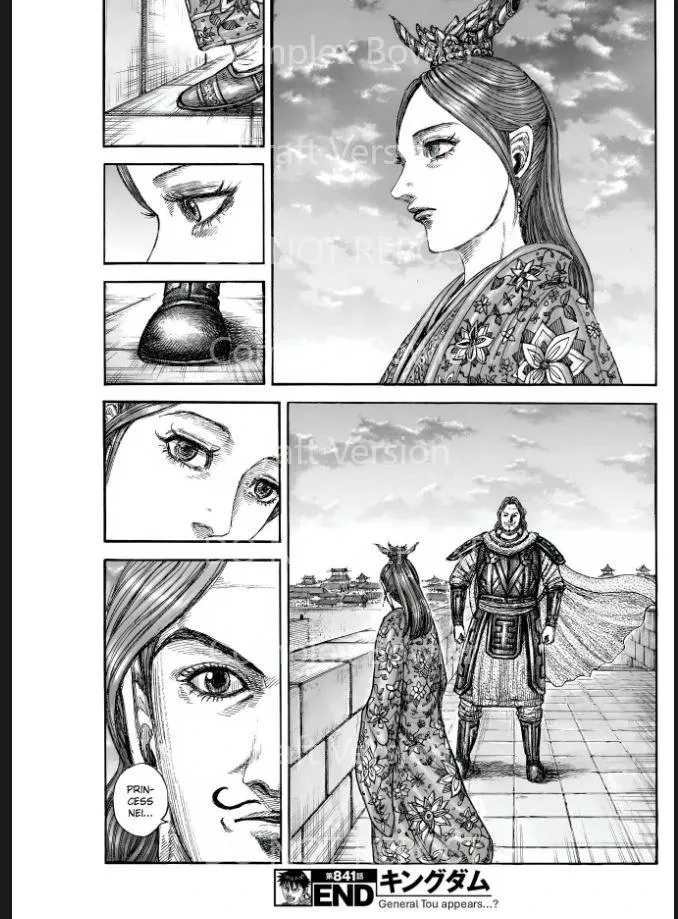 Kingdom Chapter 841 – Page 19