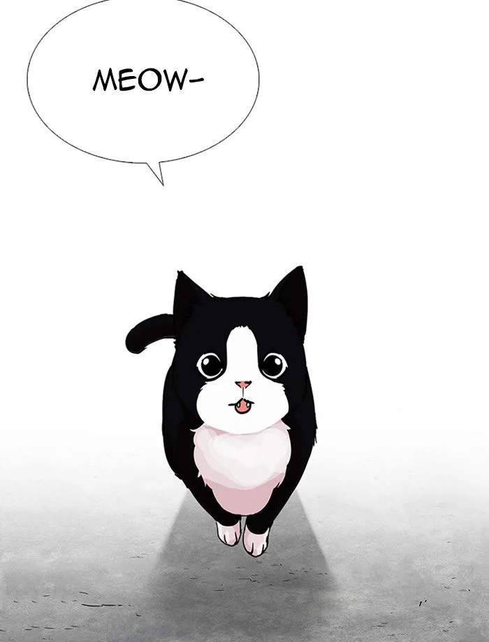 Lookism Chapter 232: Eli Jang – Page 14