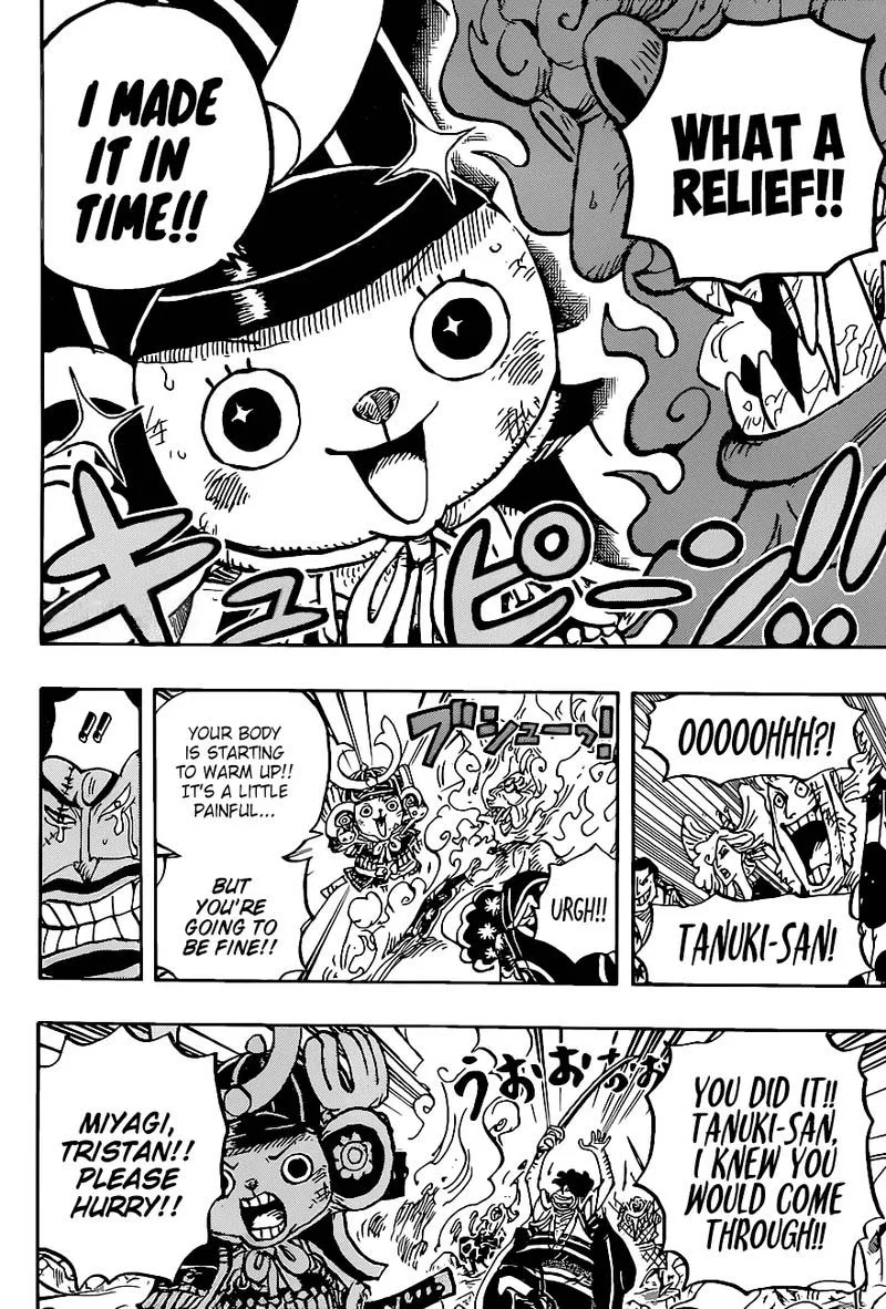 One Piece Chapter 1007: Tanuki-san – Page 8