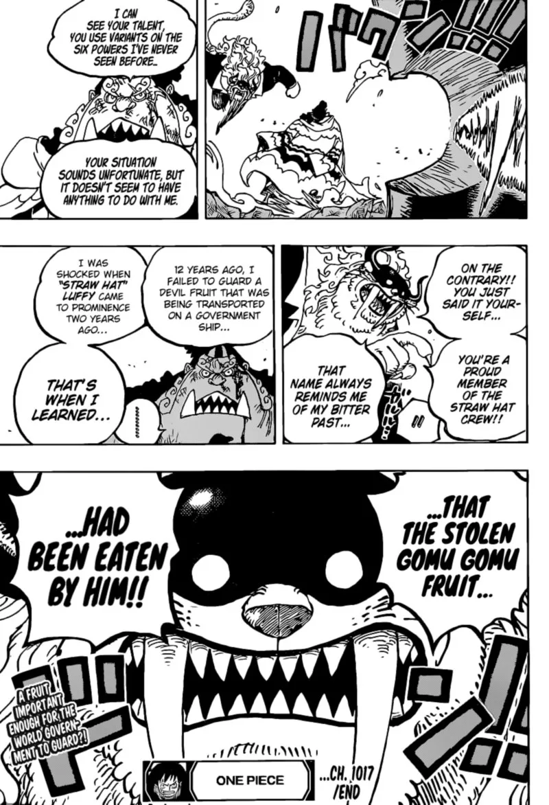 One Piece Chapter 1017: Orders – Page 17