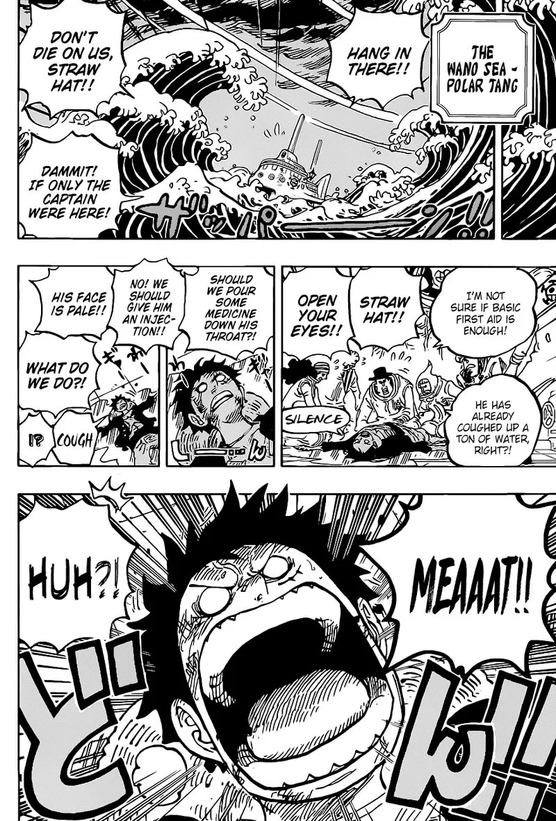 One Piece Chapter 1019: Triceracopter – Page 5